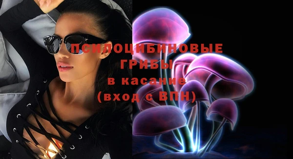 ПСИЛОЦИБИНОВЫЕ ГРИБЫ Абаза