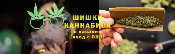 ПСИЛОЦИБИНОВЫЕ ГРИБЫ Абаза