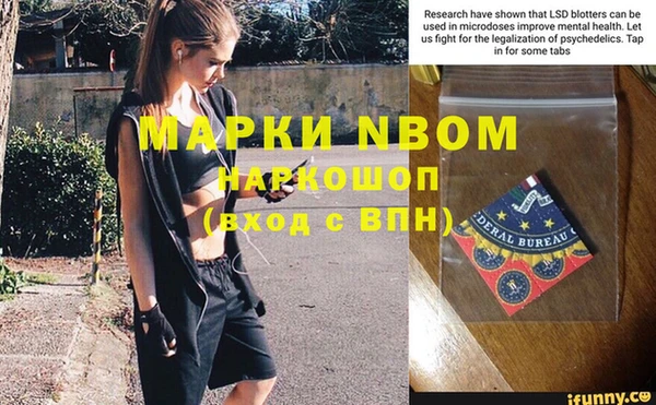 прущие грибы Абдулино