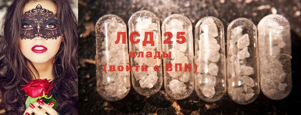 ПСИЛОЦИБИНОВЫЕ ГРИБЫ Абаза