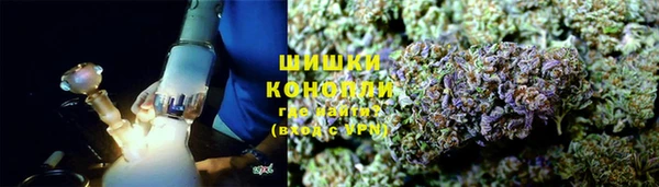 ПСИЛОЦИБИНОВЫЕ ГРИБЫ Абаза