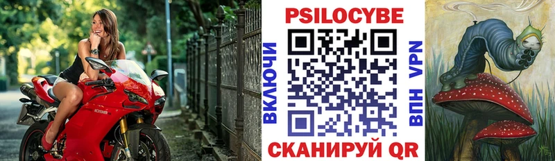 Галлюциногенные грибы Psilocybe  Руза 